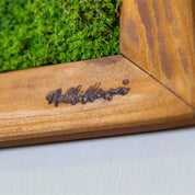 Nahaufnahme Rahmen braun mit Logo 