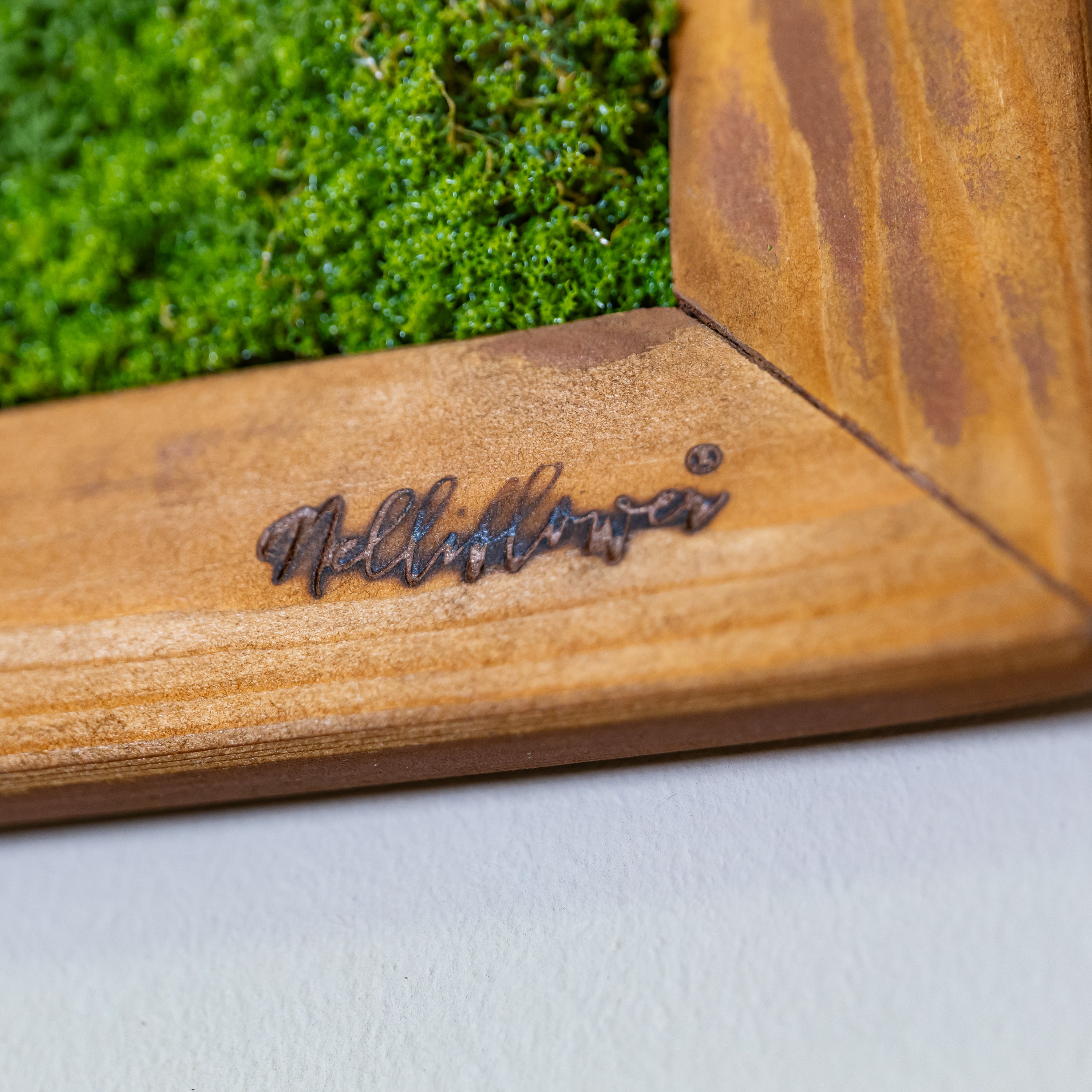 Nahaufnahme Rahmen braun mit Logo 