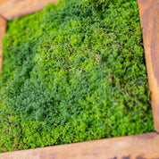 Nahaufnahme von dichtem, grünem Moos in einem warmen Echtholzrahmen, fotografiert leicht schräg für mehr Struktur und Tiefe