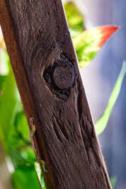 Plant Frame „Panay“ - Künstliches Pflanzenbild im Tropen-Design aus Realtouch-Kunstpflanzen