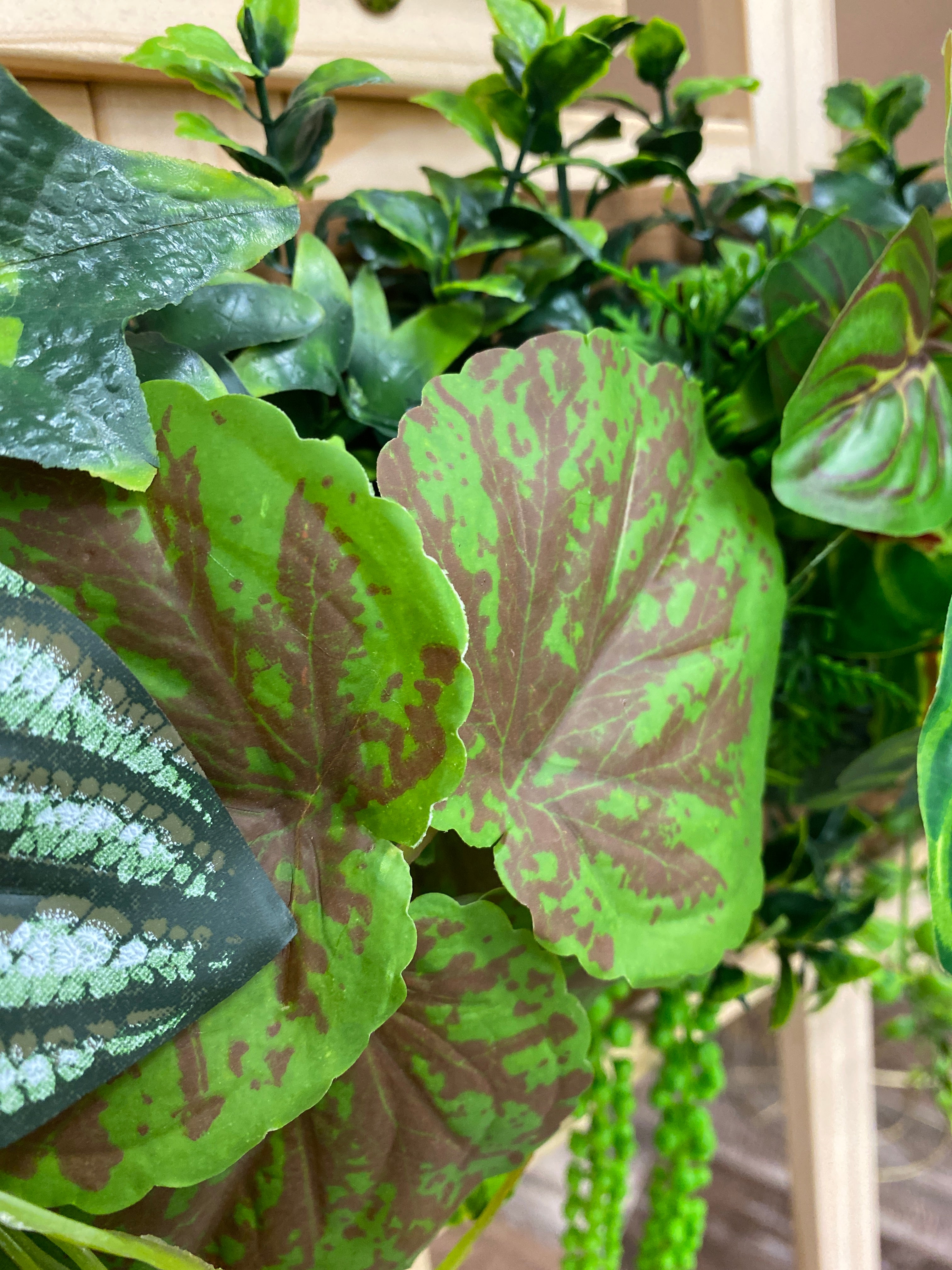 Plant Frame „Puerto Rico“ - Künstliches Pflanzenbild im Tropical-Design aus Realtouch-Kunstpflanzen