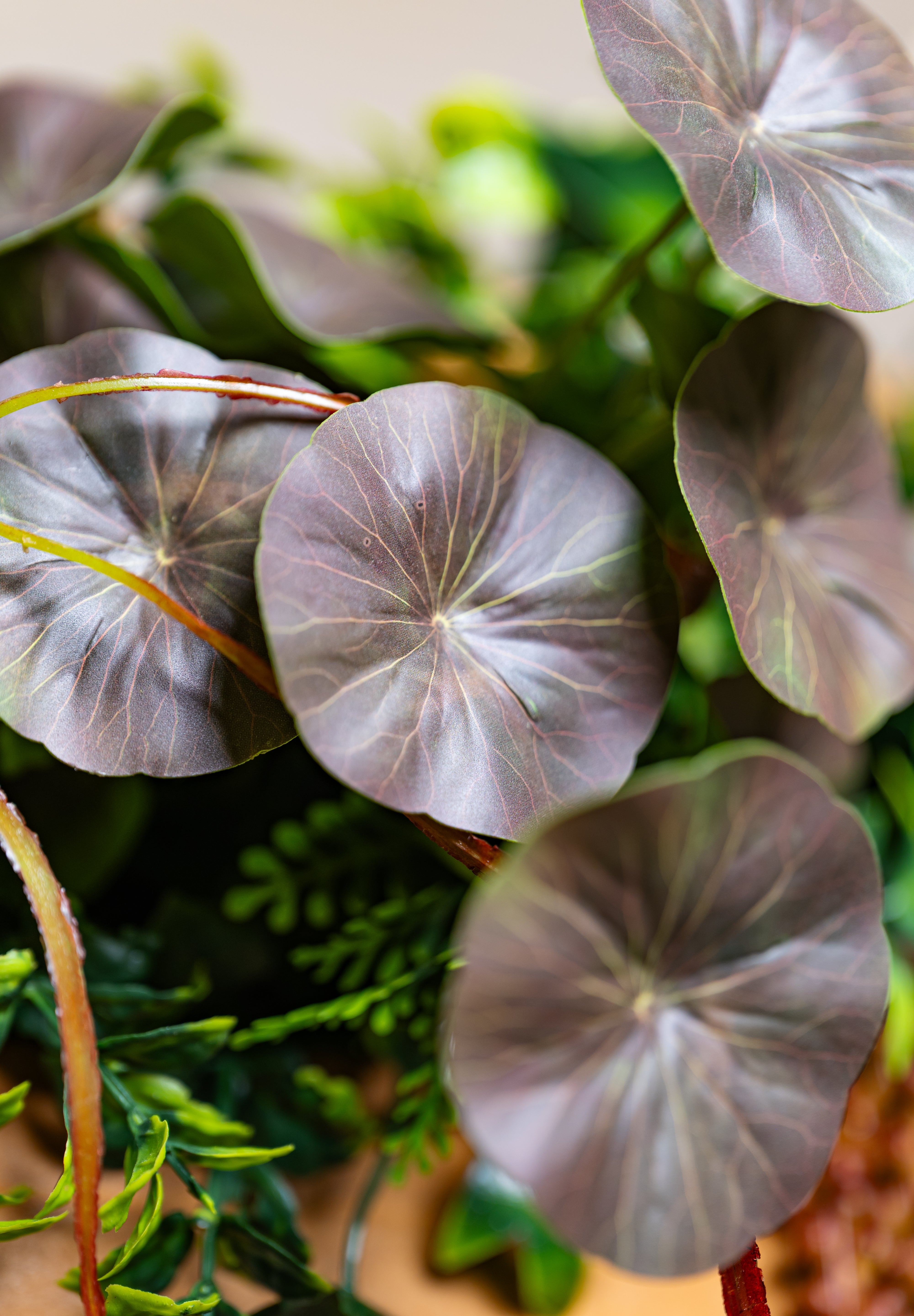 Plant Frame „Puerto Rico“ - Künstliches Pflanzenbild im Tropical-Design aus Realtouch-Kunstpflanzen