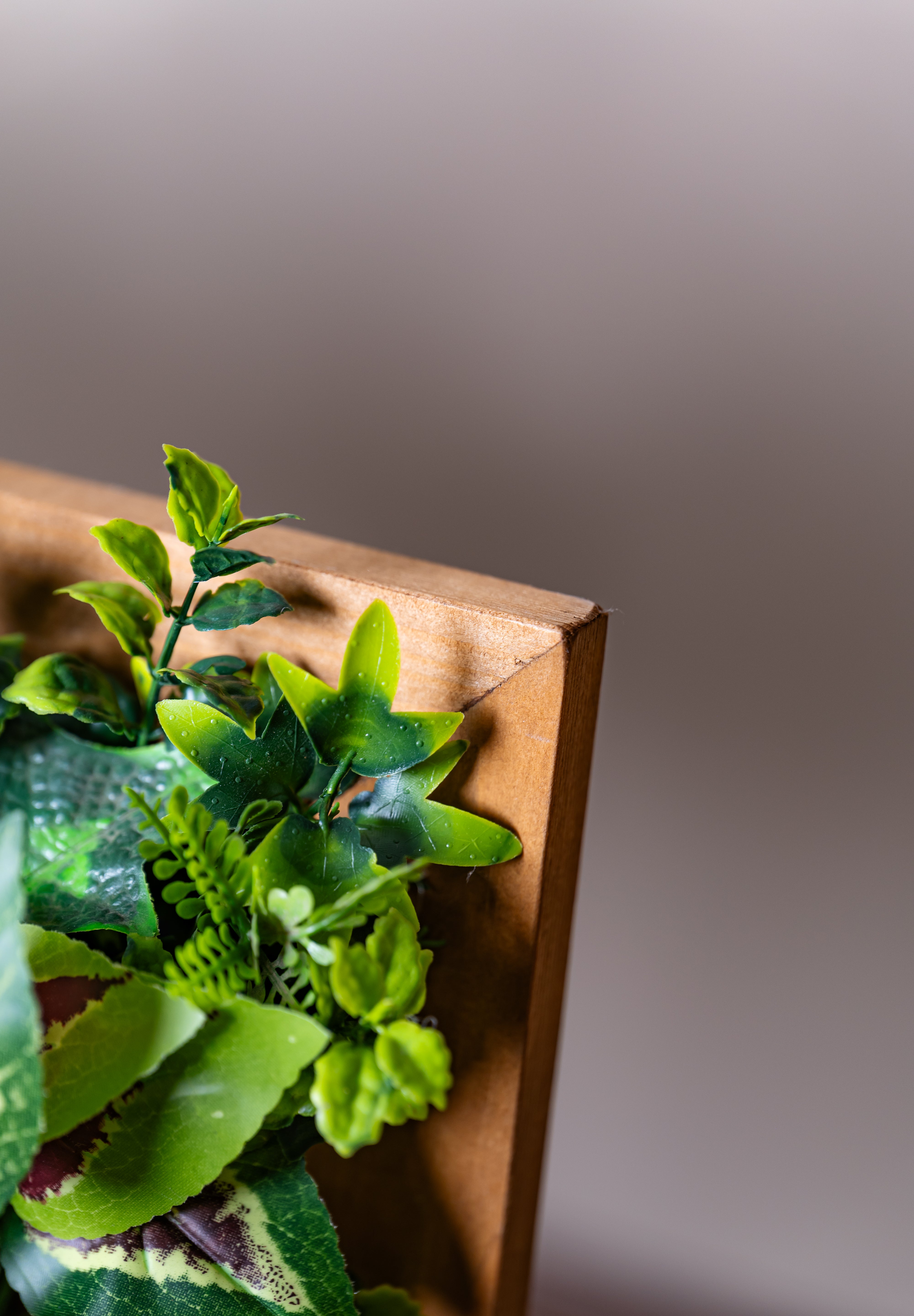 Plant Frame „Puerto Rico“ - Künstliches Pflanzenbild im Tropical-Design aus Realtouch-Kunstpflanzen