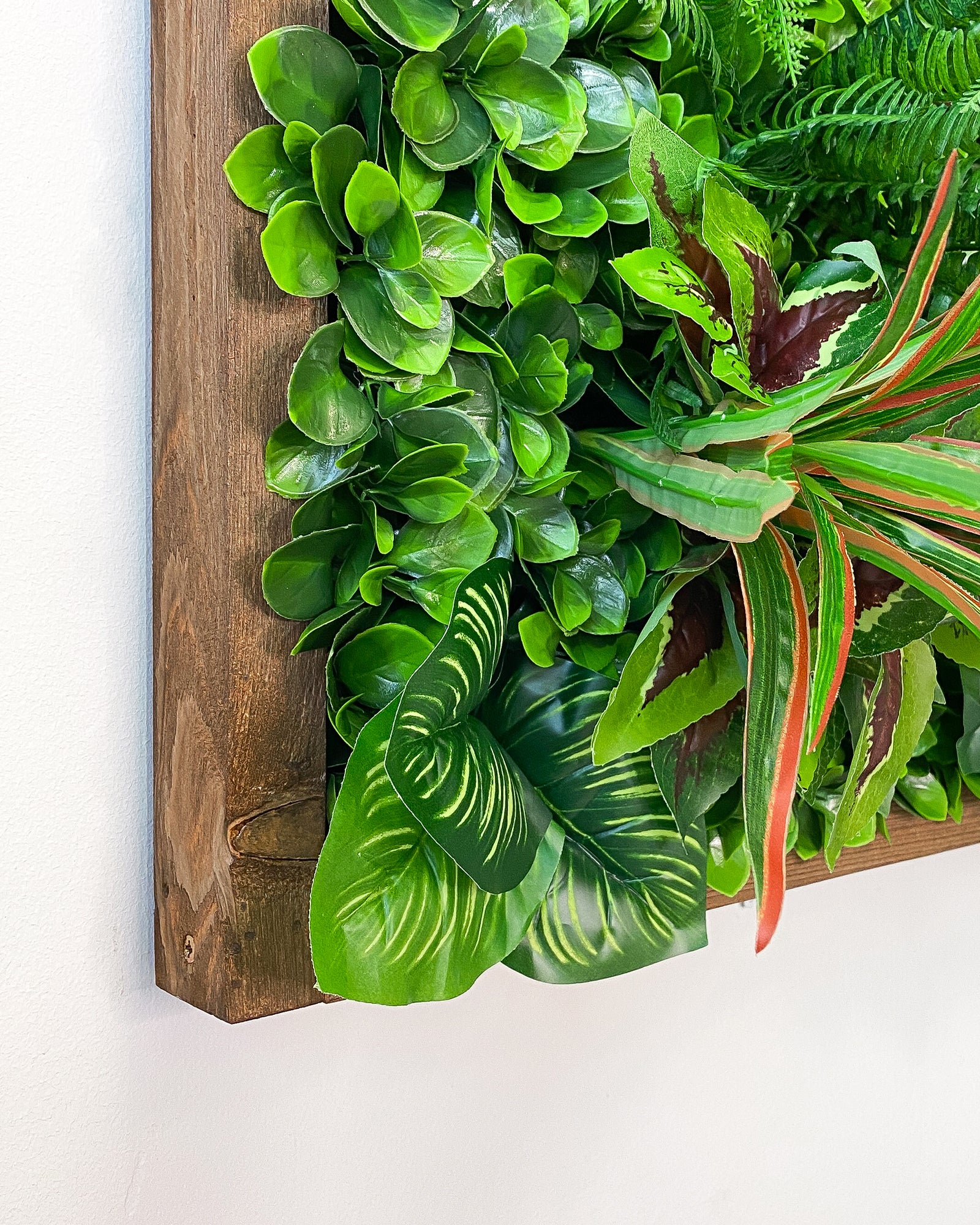 Plant Frame „Yucatan“ - Künstliches Pflanzenbild im Dschungel-Design aus Realtouch-Kunstpflanzen