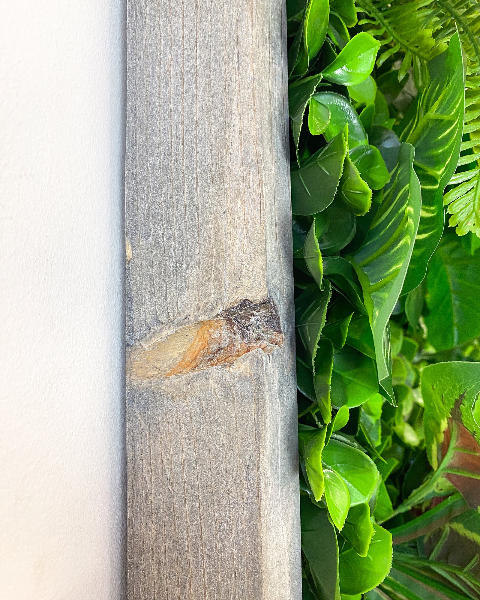 Plant Frame „Nublar“ - Künstliches Pflanzenbild im Jungle-Look aus Realtouch-Kunstpflanzen