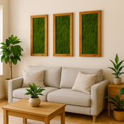 Raumfoto drei künsliche Moosbilder in braunen Holzrahmen über beiger couch mit Zimmerpflanzen