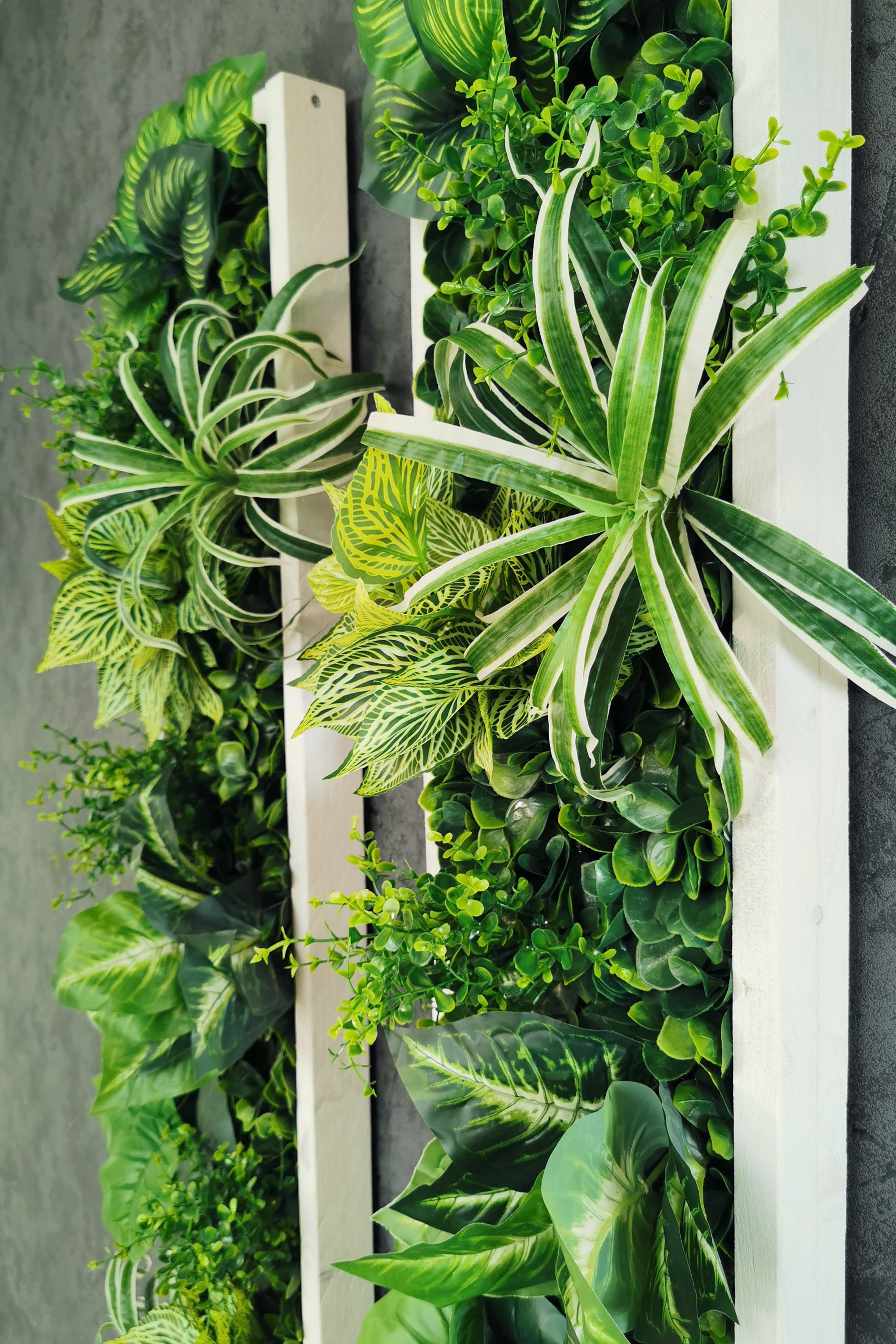 Plant Frame „Samana“ - Künstliches Pflanzenbild im Tropical-Design aus Realtouch-Kunstpflanzen