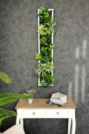 Plant Frame „Samana“ - Künstliches Pflanzenbild im Tropical-Design aus Realtouch-Kunstpflanzen
