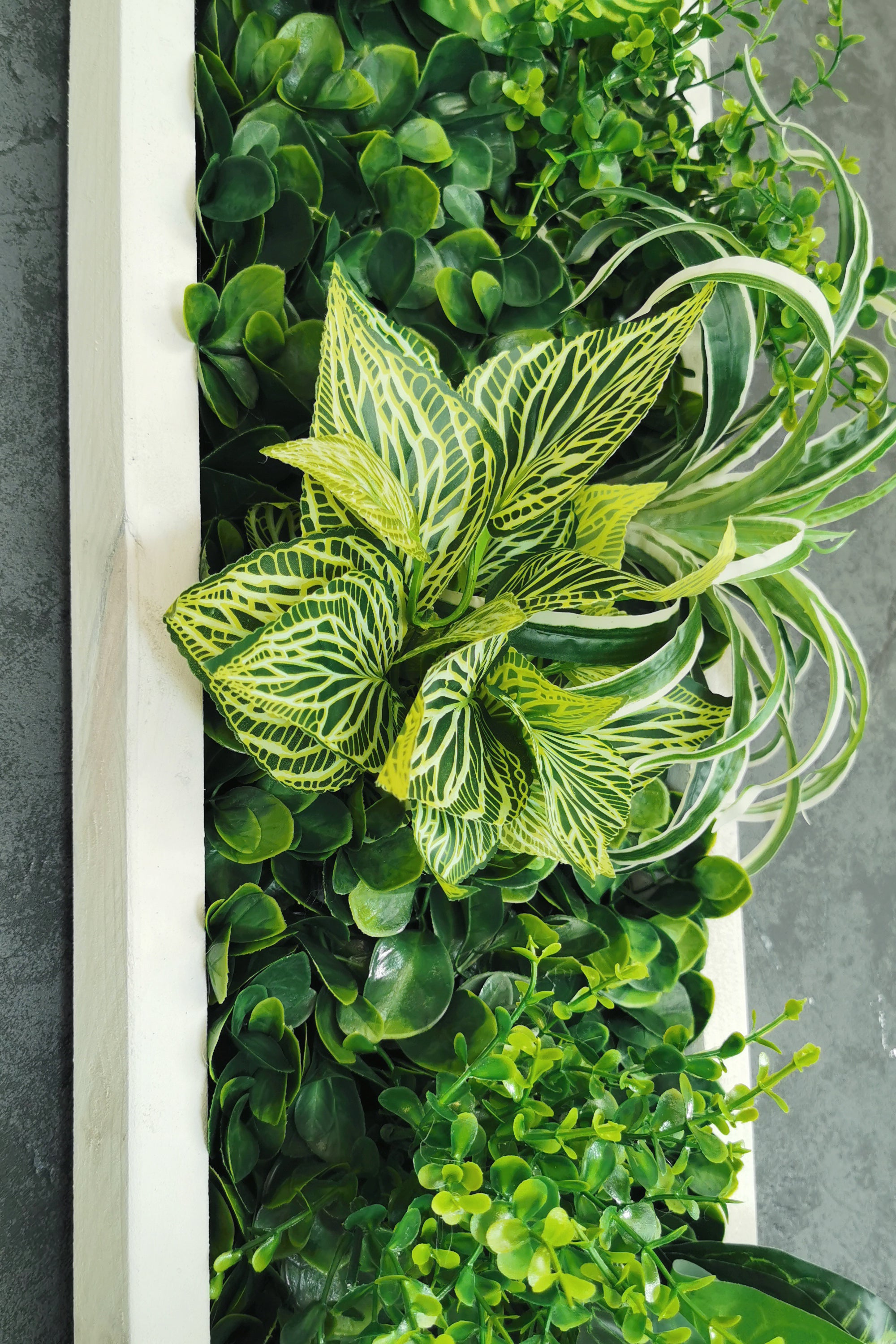 Plant Frame „Samana“ - Künstliches Pflanzenbild im Tropical-Design aus Realtouch-Kunstpflanzen