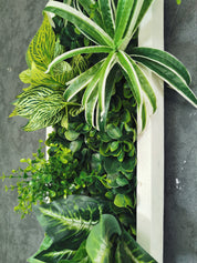 Plant Frame „Samana“ - Künstliches Pflanzenbild im Tropical-Design aus Realtouch-Kunstpflanzen