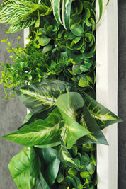 Plant Frame „Samana“ - Künstliches Pflanzenbild im Tropical-Design aus Realtouch-Kunstpflanzen