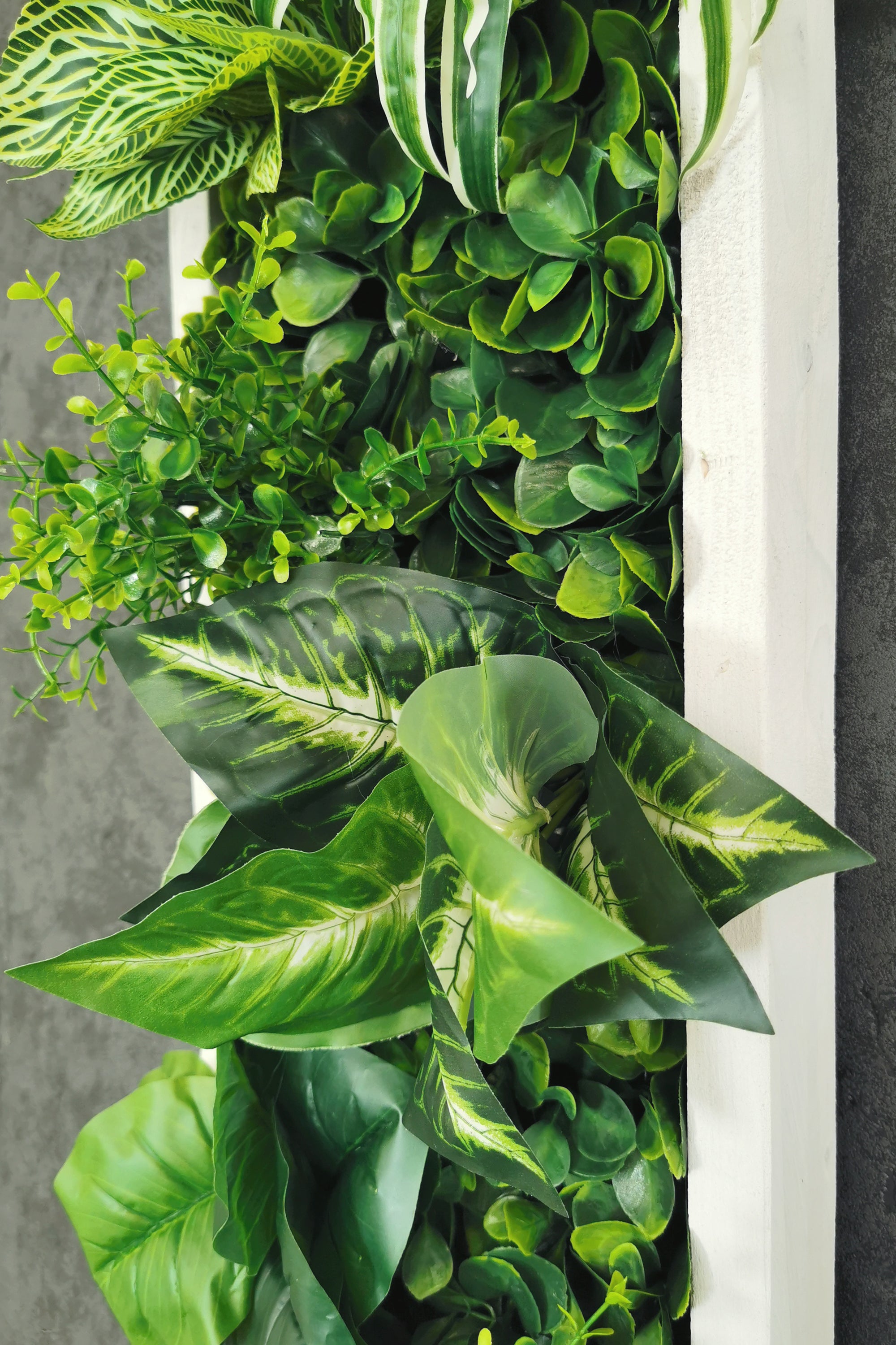 Plant Frame „Samana“ - Künstliches Pflanzenbild im Tropical-Design aus Realtouch-Kunstpflanzen