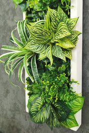 Plant Frame „Samana“ - Künstliches Pflanzenbild im Tropical-Design aus Realtouch-Kunstpflanzen