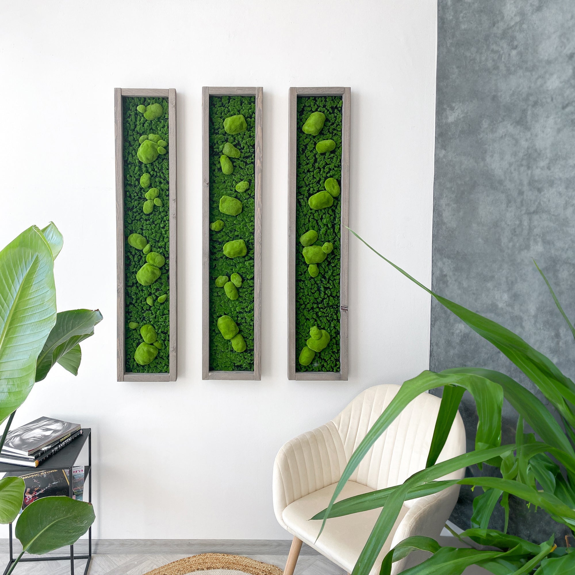 Plant Frame „Serra“ - Natürliches Moosbild mit 3D-Kugelmoos im Holzrahmen