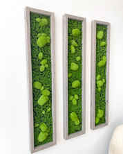 Plant Frame „Serra“ - Natürliches Moosbild mit 3D-Kugelmoos im Holzrahmen