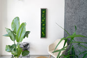 Plant Frame „Serra“ - Natürliches Moosbild mit 3D-Kugelmoos im Holzrahmen