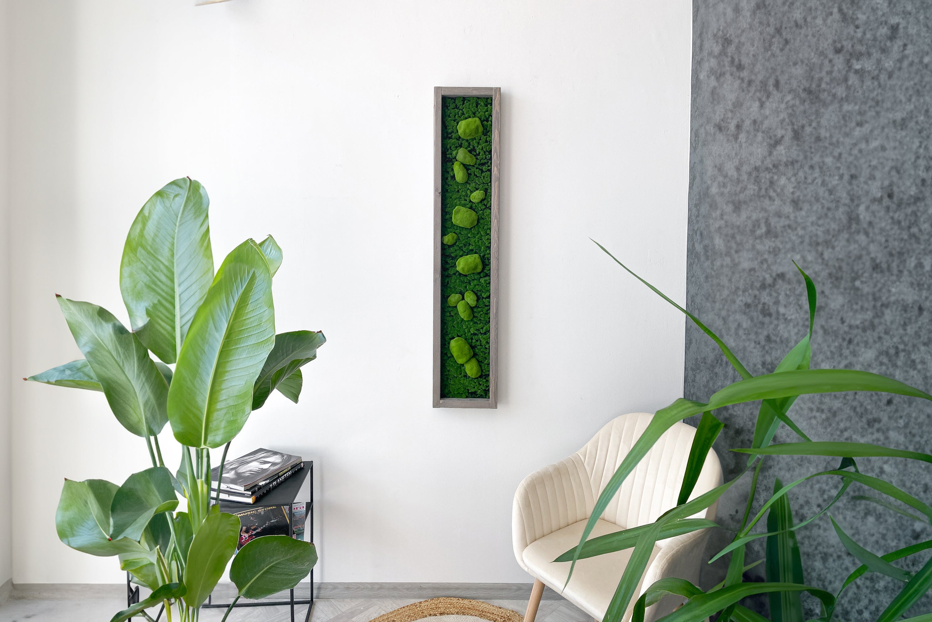 Plant Frame „Serra“ - Natürliches Moosbild mit 3D-Kugelmoos im Holzrahmen