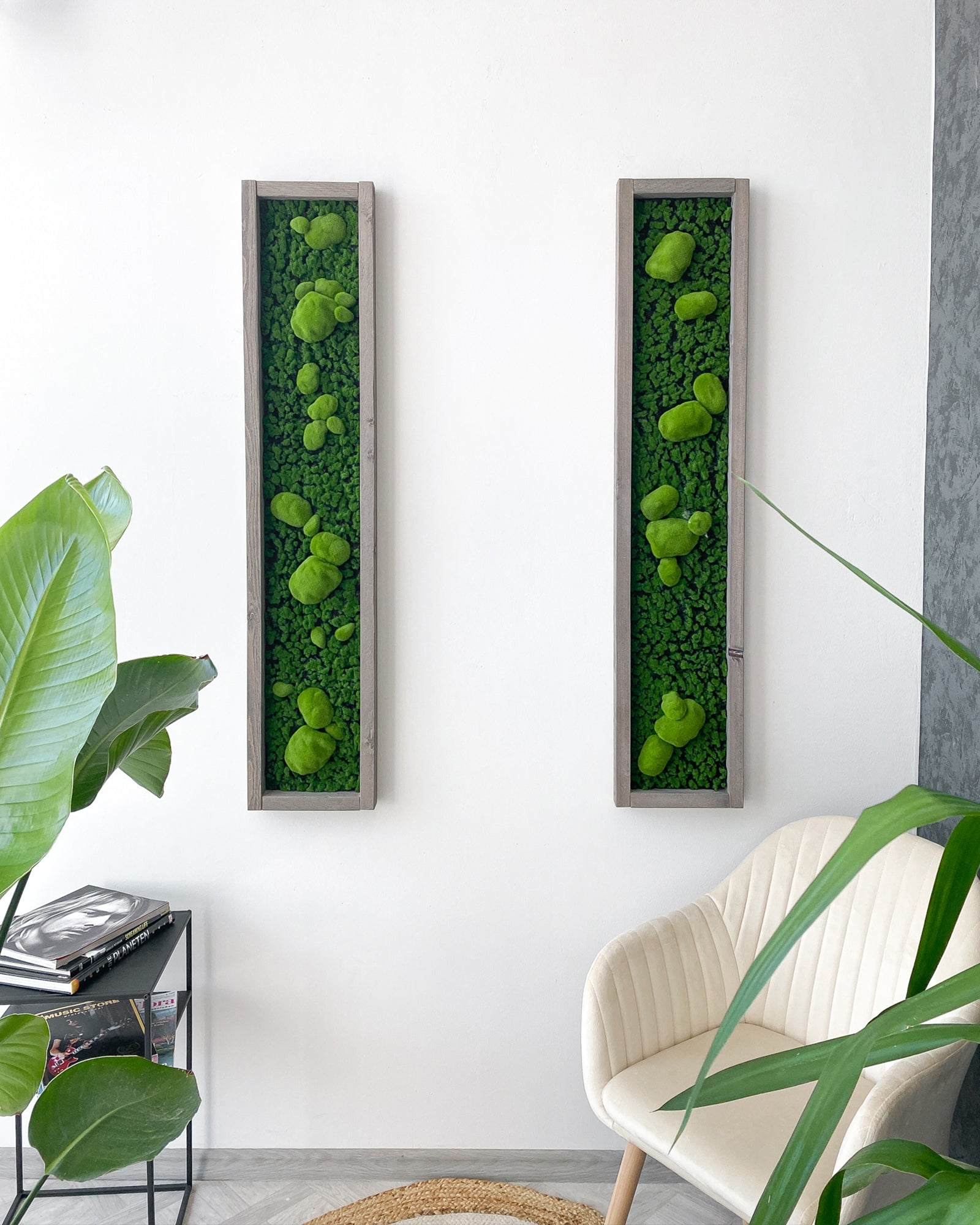 Plant Frame „Serra“ - Natürliches Moosbild mit 3D-Kugelmoos im Holzrahmen