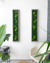 Plant Frame „Serra“ - Natürliches Moosbild mit 3D-Kugelmoos im Holzrahmen