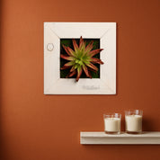 Künstliches Sukkulentenbild mit roter Agave im Holzrahmen weiß