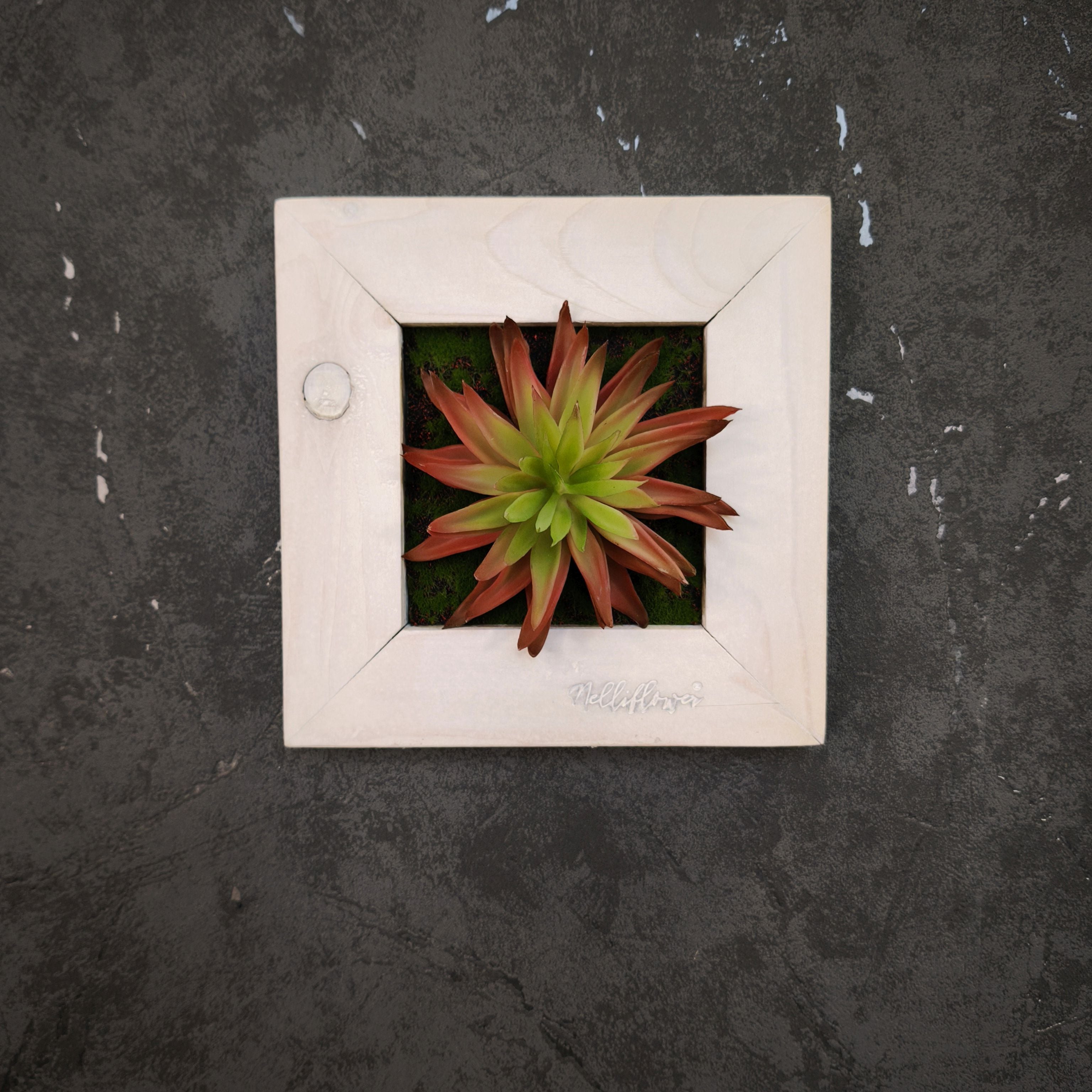 Künstliches Sukkulentenbild mit roter Agave im Holzrahmen weiß