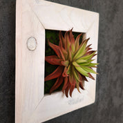 Künstliches Sukkulentenbild mit roter Agave im Holzrahmen weiß