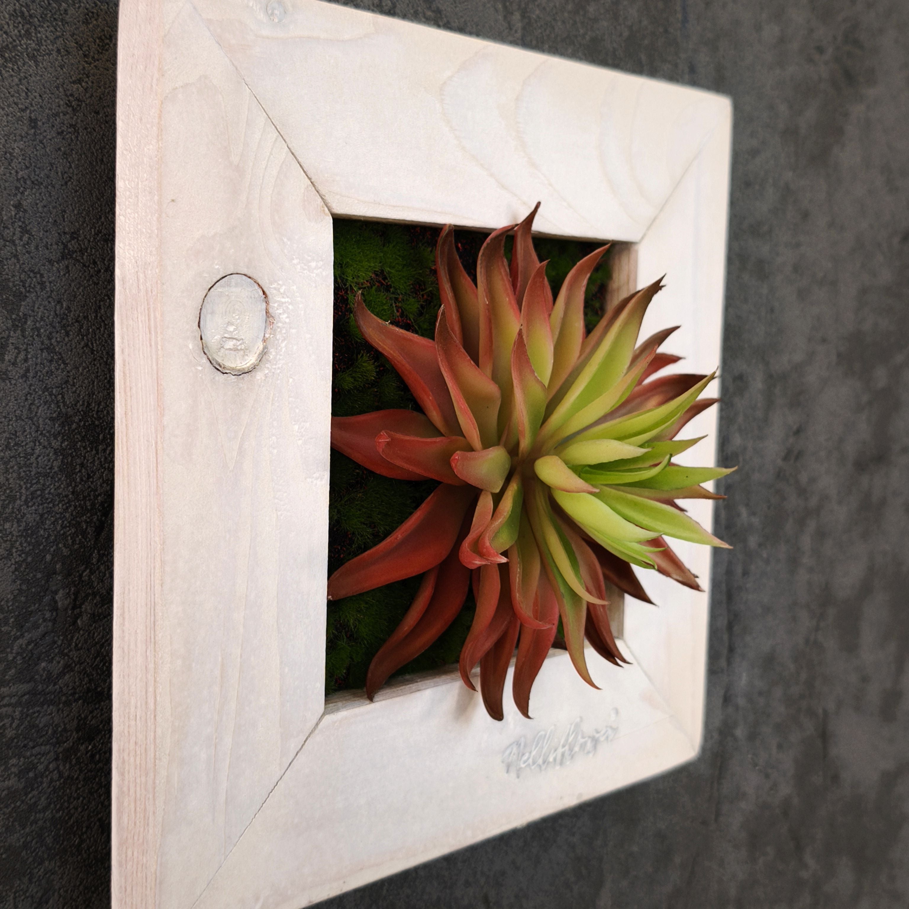 Künstliches Sukkulentenbild mit roter Agave im Holzrahmen weiß