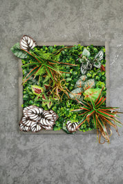 Plant Frame „Sorna“ - Künstliches Pflanzenbild im Tropen-Design aus Realtouch-Kunstpflanzen