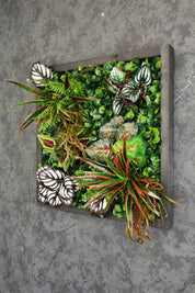 Plant Frame „Sorna“ - Künstliches Pflanzenbild im Tropen-Design aus Realtouch-Kunstpflanzen