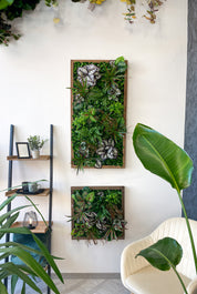 Plant Frame „Sorna“ - Künstliches Pflanzenbild im Tropen-Design aus Realtouch-Kunstpflanzen