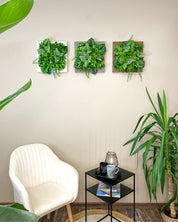 Tiny Frame „Parana“ - Natürlichkeit im kompakten Format