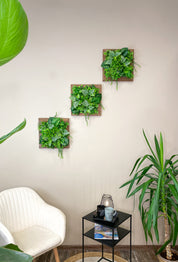 Tiny Frame „Parana“ - Natürlichkeit im kompakten Format