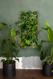 Plant Frame „Yucatan“ - Künstliches Pflanzenbild im Dschungel-Design aus Realtouch-Kunstpflanzen