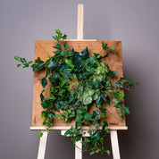 Plant Frame "Vinca" - Künstliches Pflanzenbild mit Efeu und Rankpflanzen im Holzrahmen, inspiriert vom europäischen Naturstil