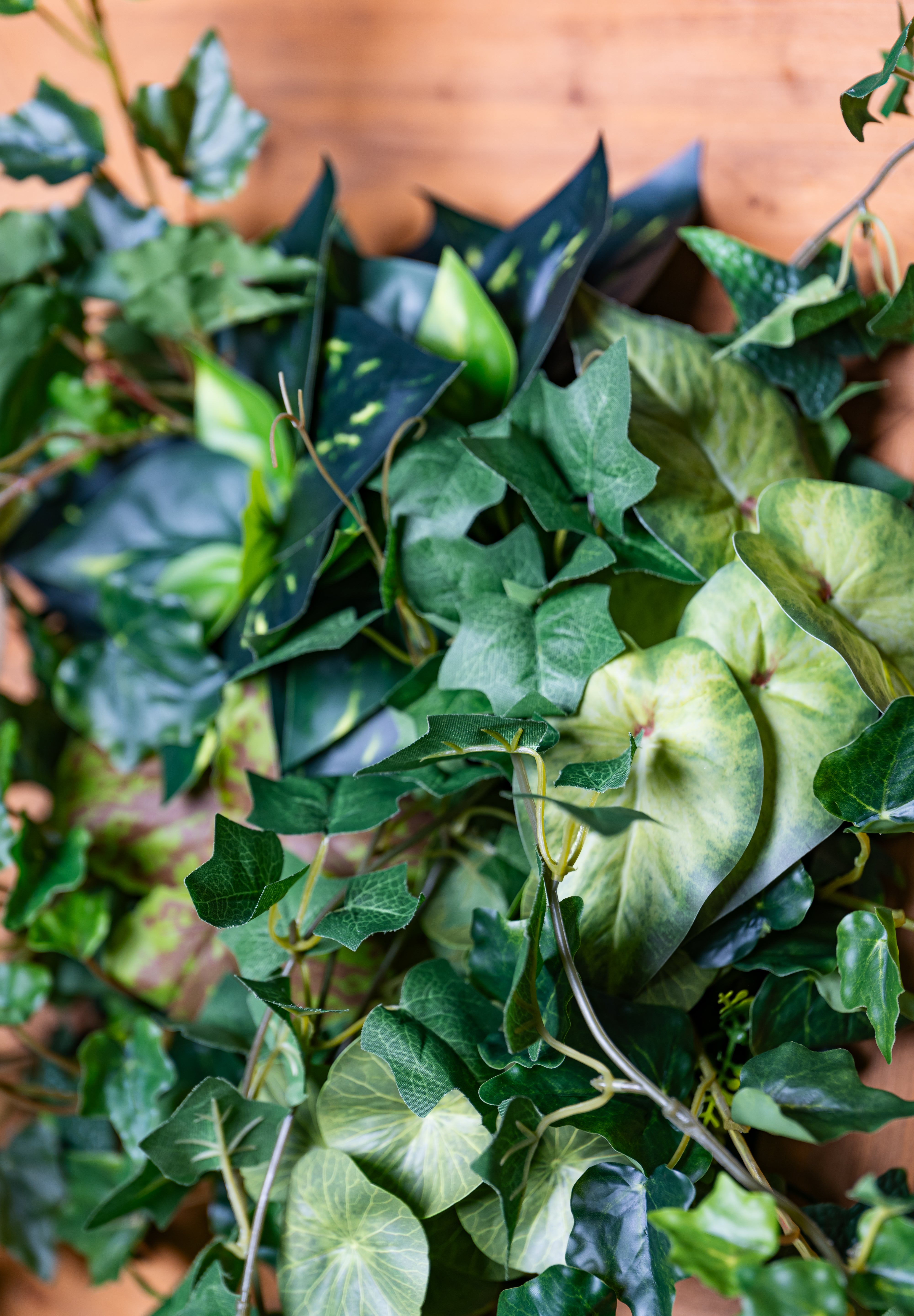 Plant Frame "Vinca" - Künstliches Pflanzenbild mit Efeu und Rankpflanzen im Holzrahmen, inspiriert vom europäischen Naturstil