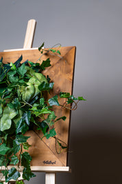 Plant Frame "Vinca" - Künstliches Pflanzenbild mit Efeu und Rankpflanzen im Holzrahmen, inspiriert vom europäischen Naturstil