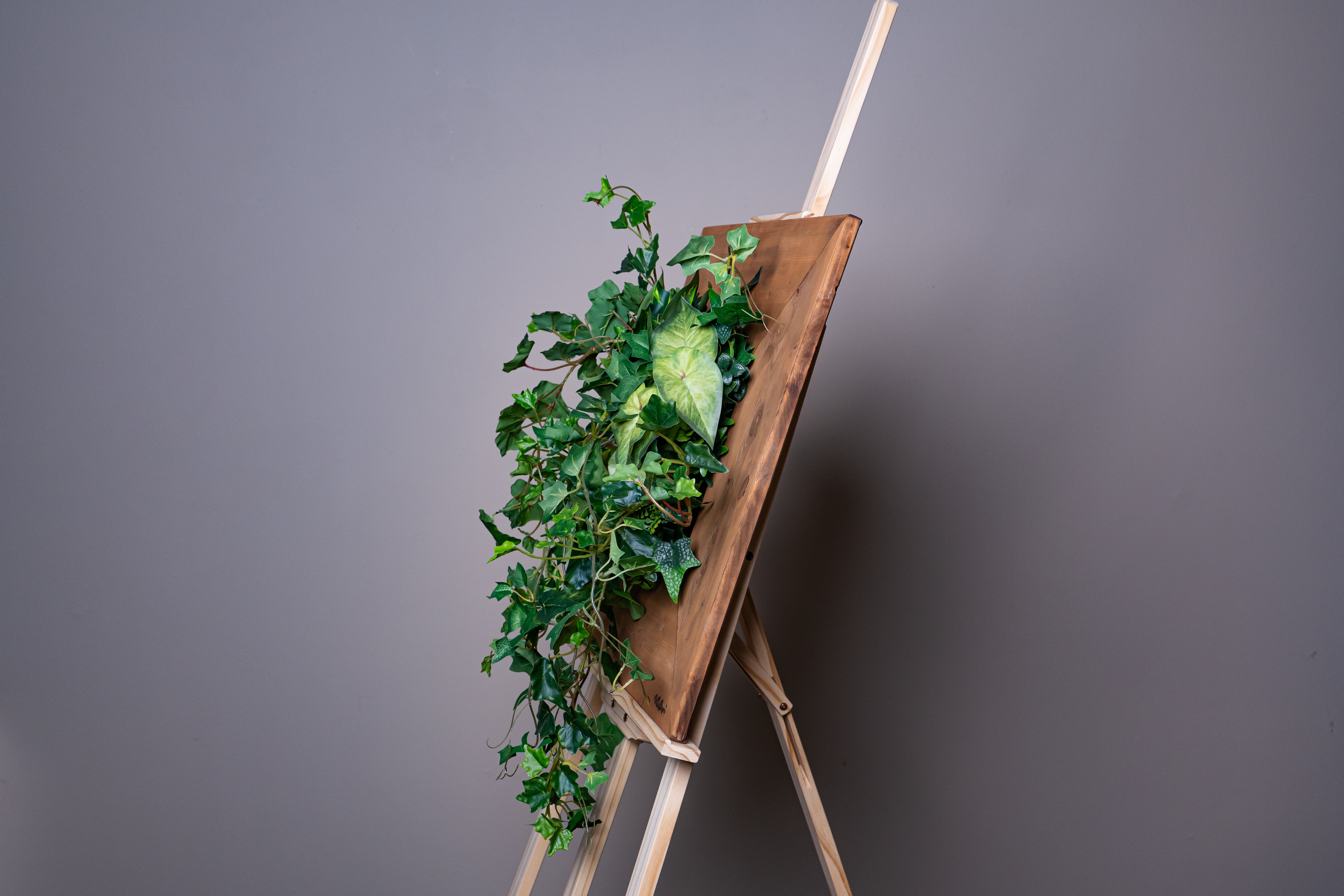 Plant Frame "Vinca" - Künstliches Pflanzenbild mit Efeu und Rankpflanzen im Holzrahmen, inspiriert vom europäischen Naturstil