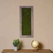 Moosbild in aschgrauen Rahmen