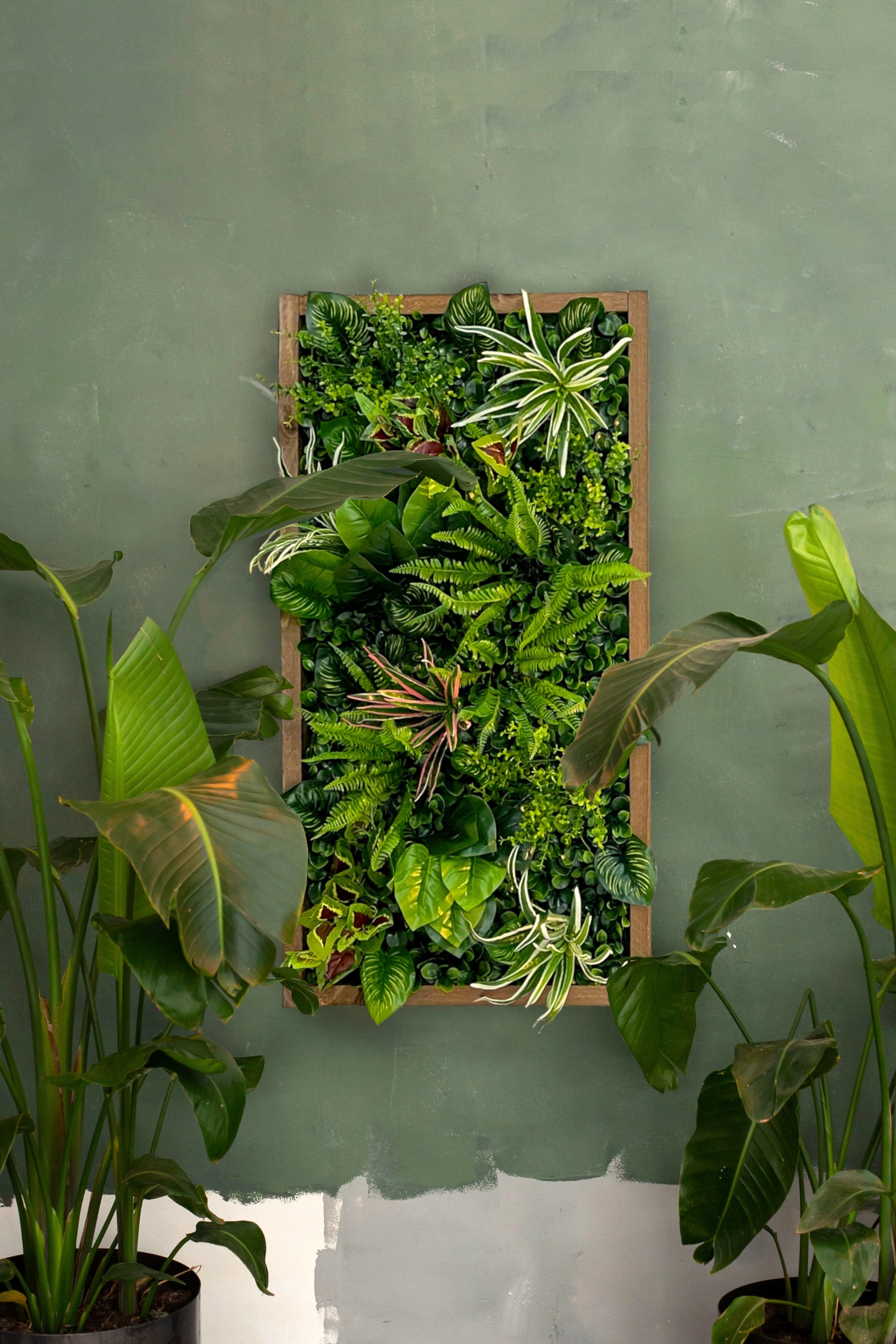 Vertikales dicht begrüntes Greendecors Pflanzenbild &quot;Yucatan&quot; in sienabraunen Naturholzrahmen, eingerahmt von üppigen Zimmerpflanzen vor einer grünen Wand