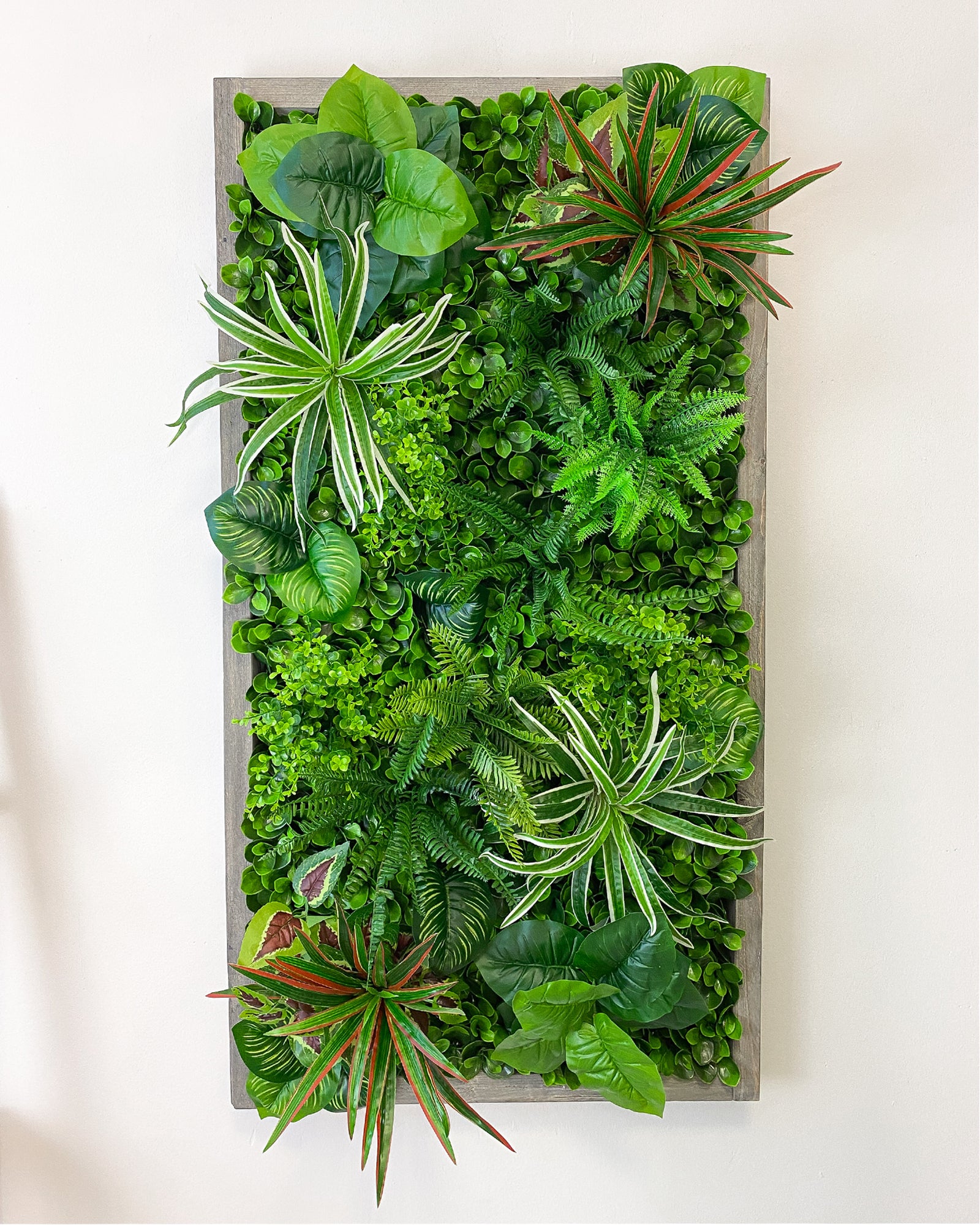 Plant Frame „Yucatan“ - Künstliches Pflanzenbild im Dschungel-Design aus Realtouch-Kunstpflanzen