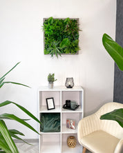 Plant Frame „Yucatan“ - Künstliches Pflanzenbild im Dschungel-Design aus Realtouch-Kunstpflanzen