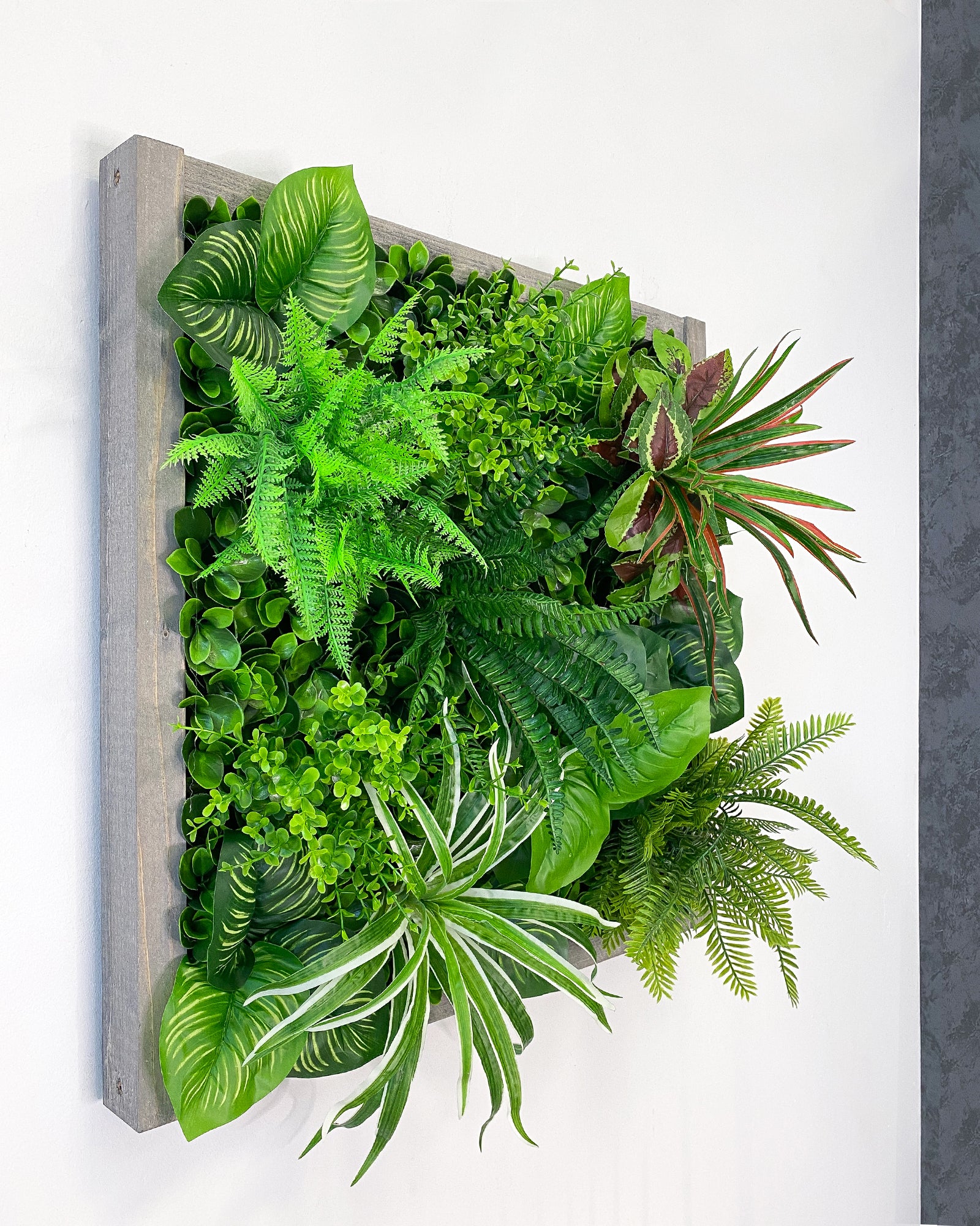 Plant Frame „Yucatan“ - Künstliches Pflanzenbild im Dschungel-Design aus Realtouch-Kunstpflanzen