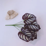Calathea Makoyana | Künstliche Zimmerpflanze für moderne Wohnraumdekoration