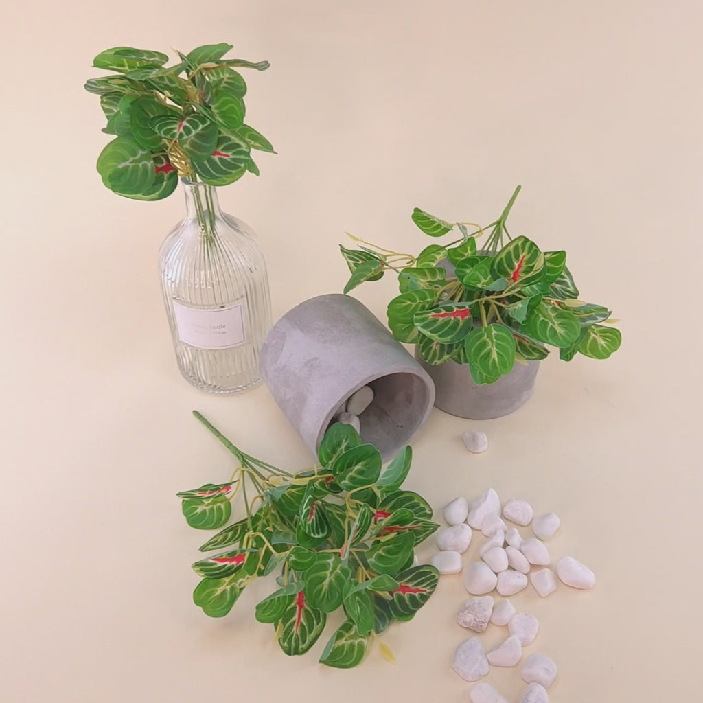 Produktvideo einer künstlichen Grünpflanze mit herzförmigen Blättern in verschiedenen Grüntönen und roten Blattakzenten. Die Pflanze wird in unterschiedlichen Dekorationsvarianten mit Glasvase, Blumentopf und weißen Dekosteinen präsentiert. Die Kamera zoomt langsam von der Gesamtansicht an die Kunstpflanze heran und zeigt Blattstruktur, Farbverläufe und Materialdetails aus nächster Nähe.