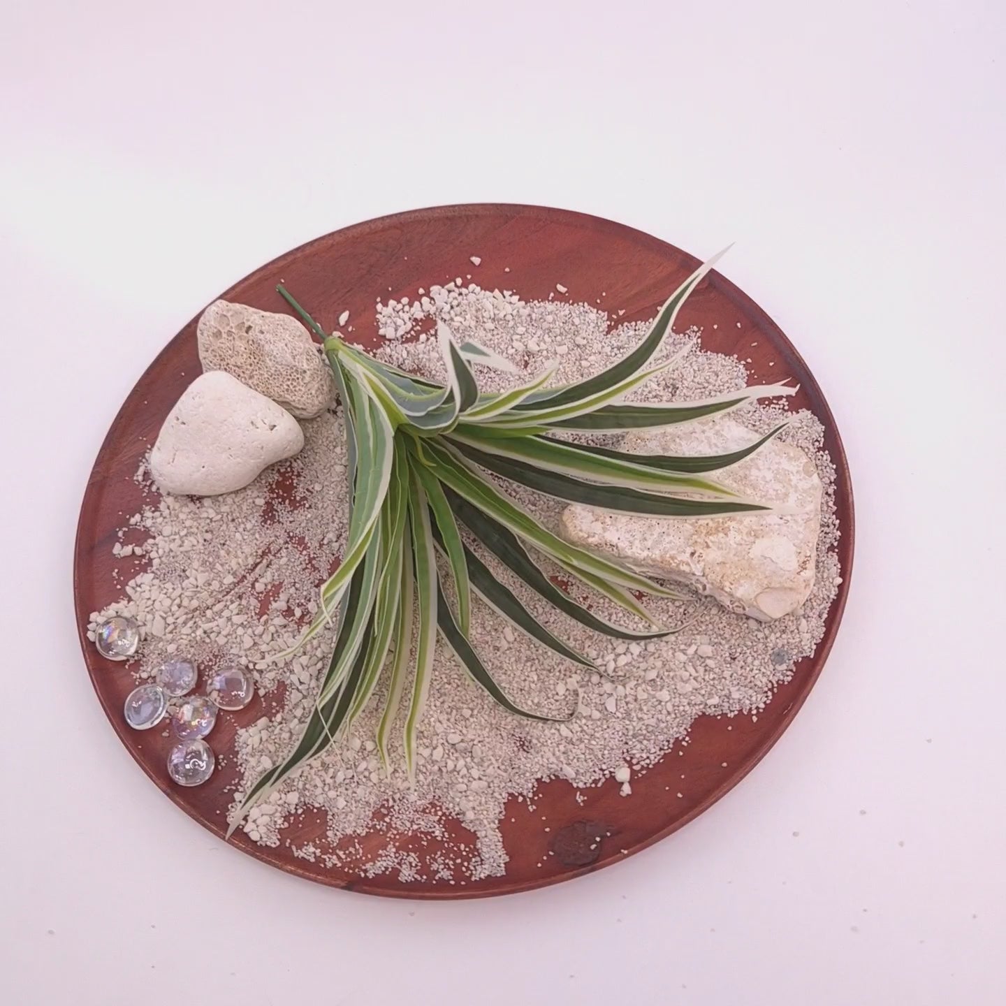 Produktvideo einer künstlichen Graspflanze mit schmalen grün-weiß variierten Blättern auf einem dekorativen Holztablett mit Sand und Natursteinen. Die Kamera zoomt langsam von der Gesamtansicht an die Kunstpflanze heran und zeigt Blattstruktur, Form und Materialdetails aus nächster Nähe.