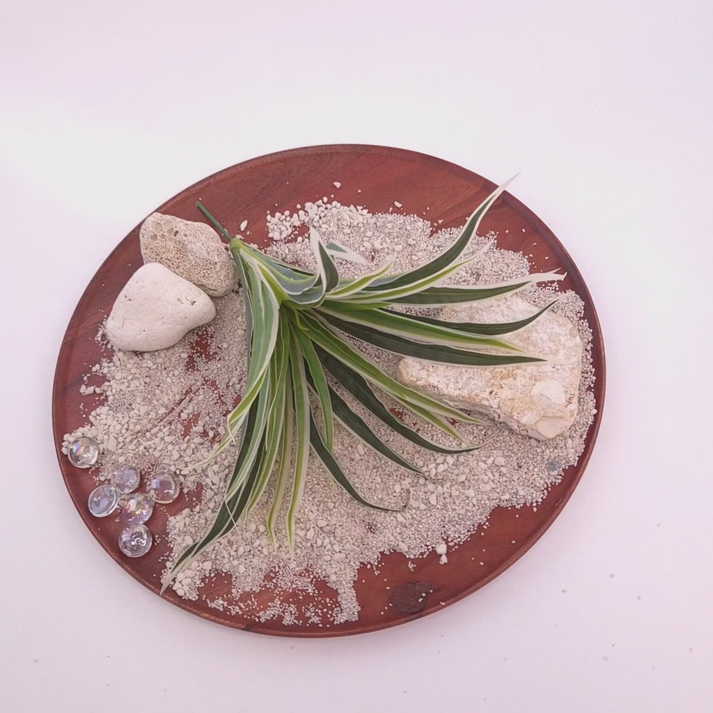 Produktvideo einer künstlichen Graspflanze mit schmalen grün-weiß variierten Blättern auf einem dekorativen Holztablett mit Sand und Natursteinen. Die Kamera zoomt langsam von der Gesamtansicht an die Kunstpflanze heran und zeigt Blattstruktur, Form und Materialdetails aus nächster Nähe.