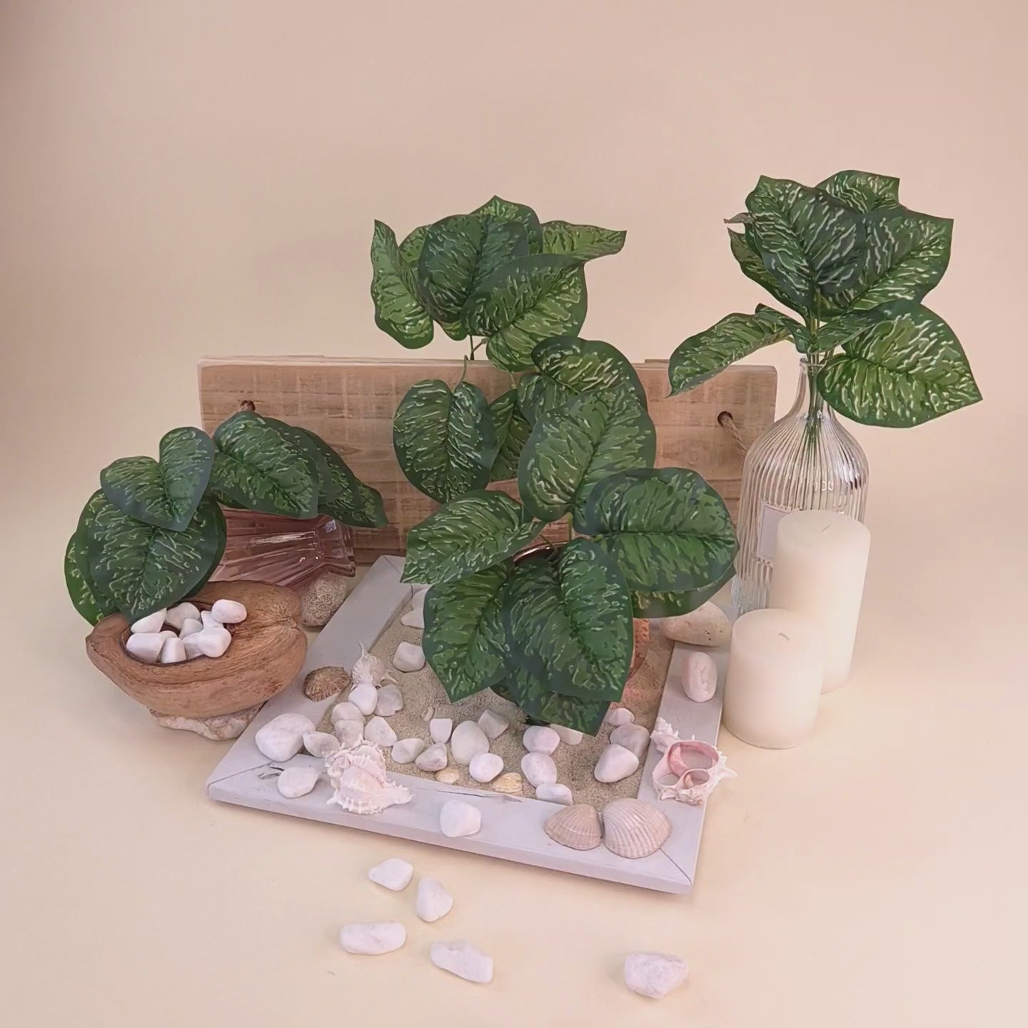 Produktvideo einer künstlichen Aglaonema mit dunkelgrünen Blättern und hellgrüner Marmorierung. Mehrere Zweige sind dekorativ mit Glasvase, Kerzen, Muscheln, Sand und weißen Kieselsteinen arrangiert. Die Zoomfahrt führt von der Gesamtansicht bis zu detailreichen Nahaufnahmen und zeigt die natürliche Blattstruktur, die lebendige Farbgebung und die hochwertige Verarbeitung der Kunstpflanze aus verschiedenen Perspektiven, damit Kunden sich ein umfassendes Bild vom Produkt machen können.