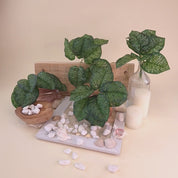 Produktvideo einer künstlichen Aglaonema mit dunkelgrünen Blättern und hellgrüner Marmorierung. Mehrere Zweige sind dekorativ mit Glasvase, Kerzen, Muscheln, Sand und weißen Kieselsteinen arrangiert. Die Zoomfahrt führt von der Gesamtansicht bis zu detailreichen Nahaufnahmen und zeigt die natürliche Blattstruktur, die lebendige Farbgebung und die hochwertige Verarbeitung der Kunstpflanze aus verschiedenen Perspektiven, damit Kunden sich ein umfassendes Bild vom Produkt machen können.