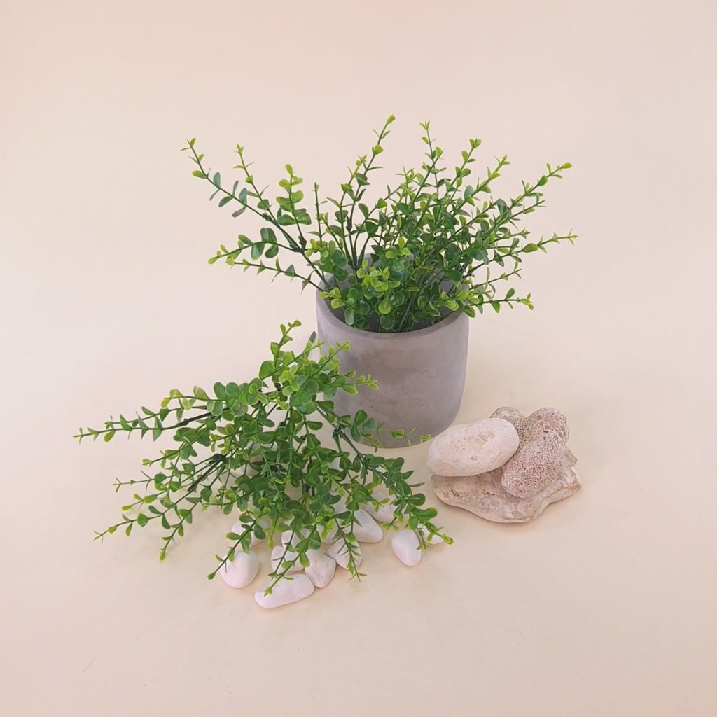 Kurzes Produktvideo einer künstlichen Grünpflanze mit kleinen runden Blättern in verschiedenen Grüntönen, dekorativ arrangiert in einem grauen Blumentopf mit weißen Dekosteinen. Die Kamera fährt langsam näher an die Kunstpflanze heran, damit Blattstruktur und Details besser sichtbar werden.