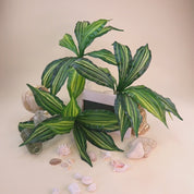 Calathea 'Beauty Star' | Künstliche Dekopflanze für moderne Wohnraumdekoration